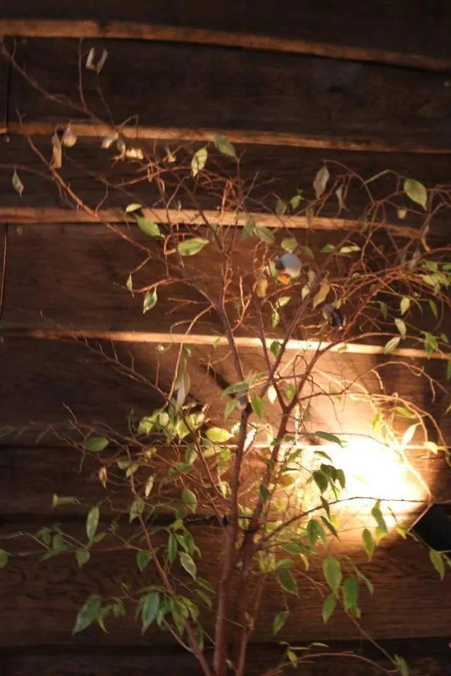 Einzigartiges 140Qm Loft - Party Ist Erlaubt! Apartamento Berlim 0*,  Alemanha